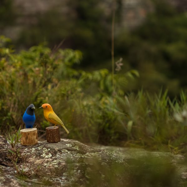 Pássaros em madeira